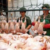 Ukraine prohibited import of poultry from China  Ministry of Commerce of China.